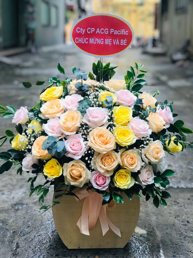 Hồng Mix 2 - HH041