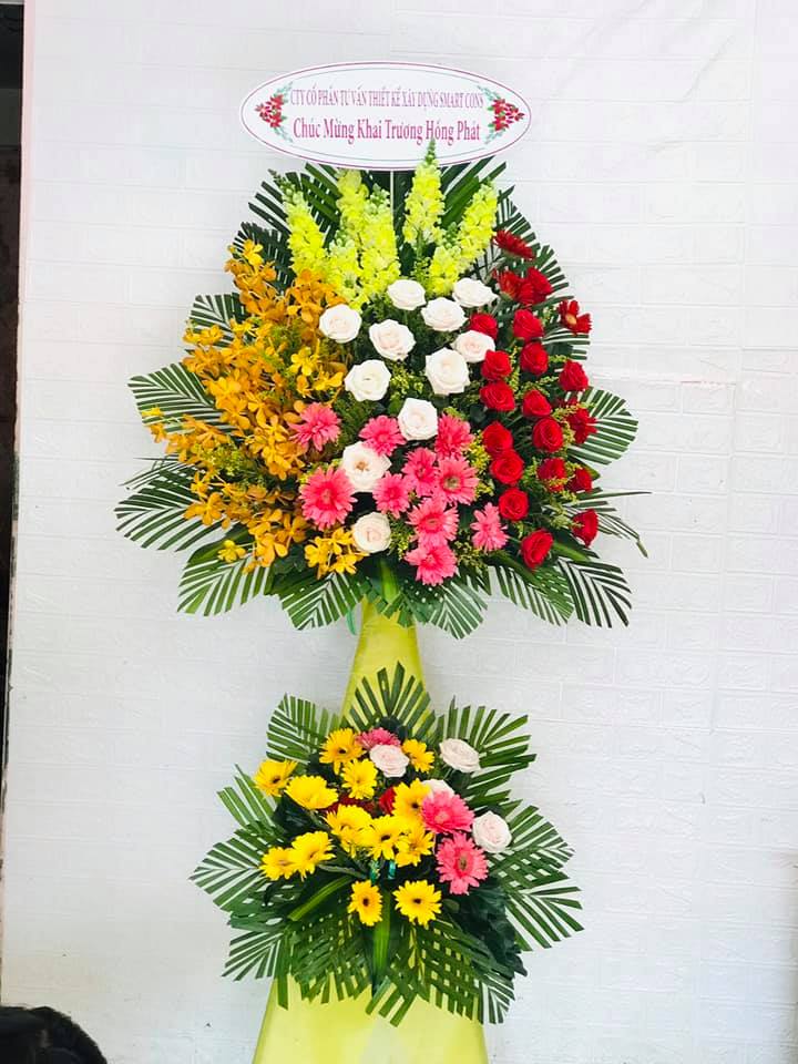 Khởi Sắc - HK044