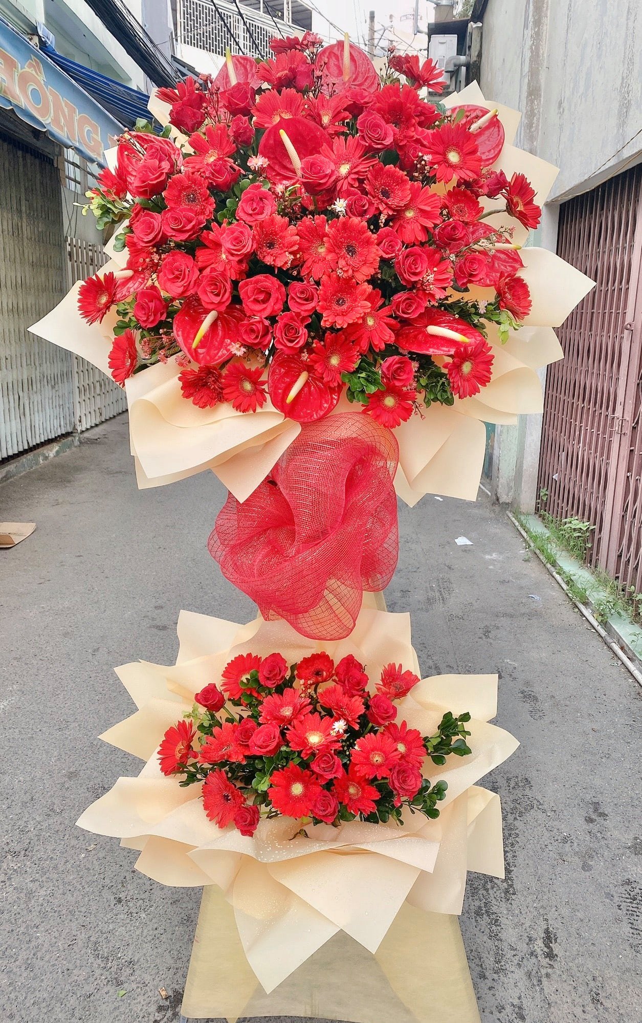 May Mắn - HK052