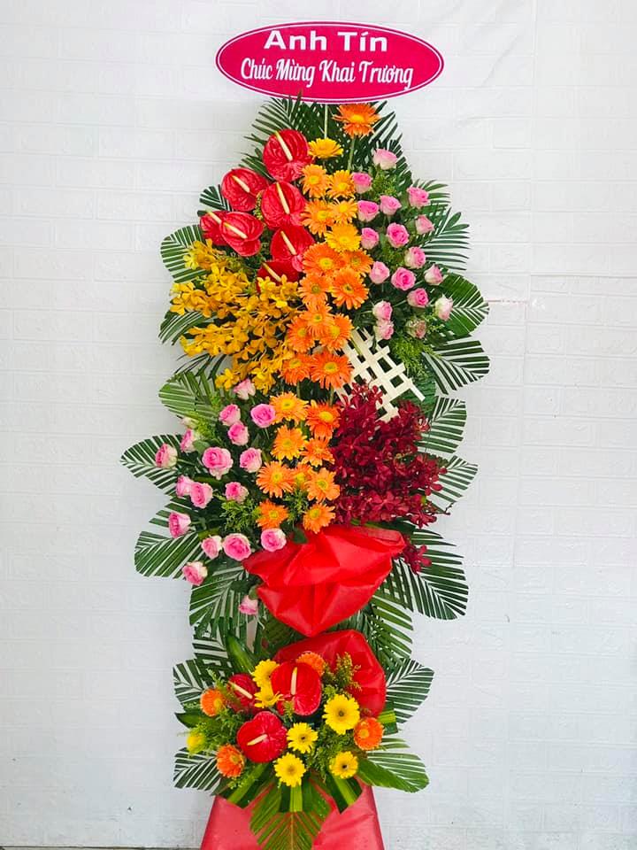 Tấn Tới - HK045