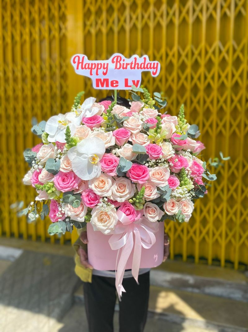 Tưng Bừng - HH030