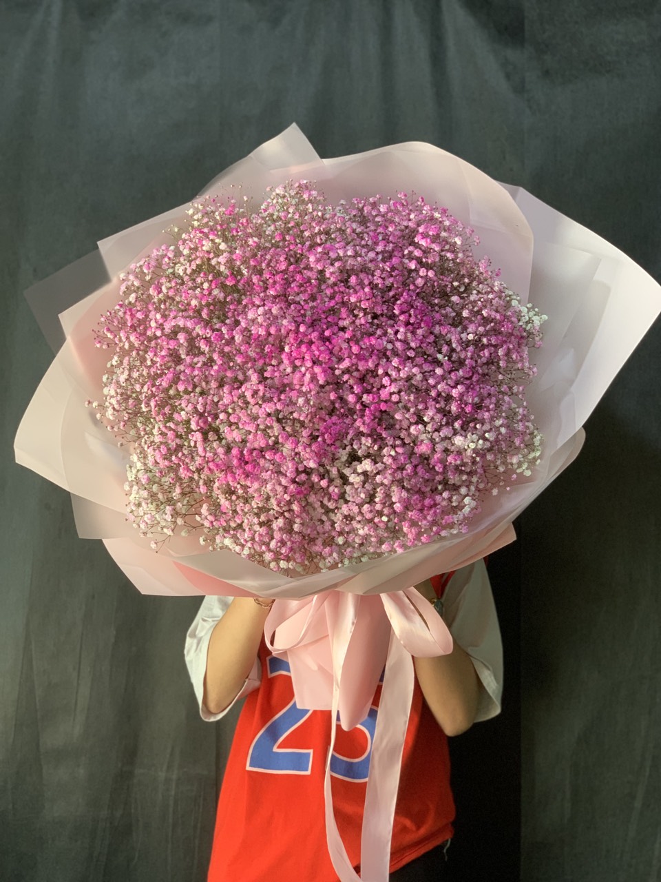 Baby Hồng - HB047