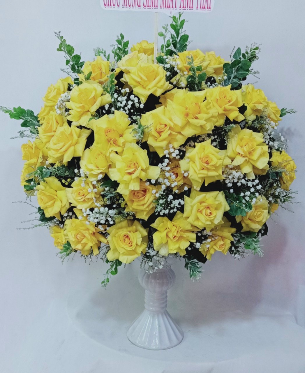 Hồng Vàng - SNN006