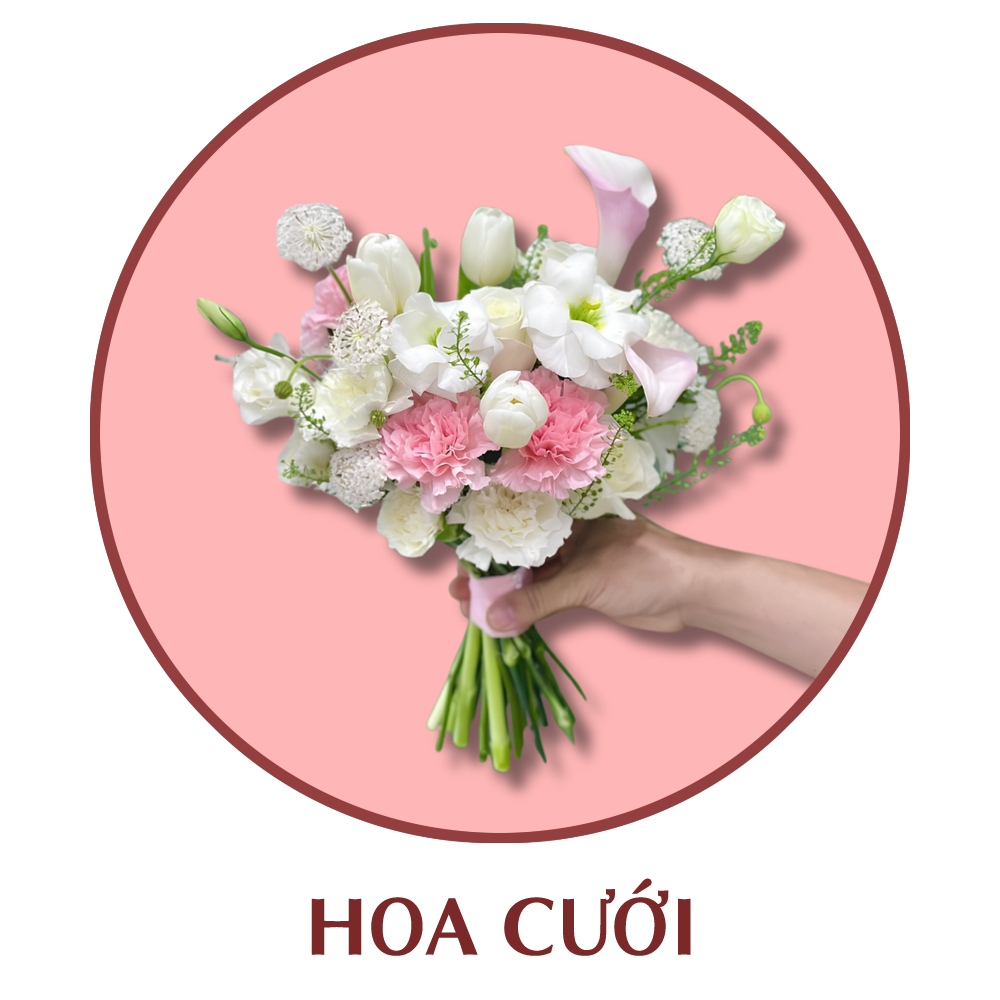 Hoa cưới